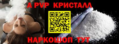 spice Владимир