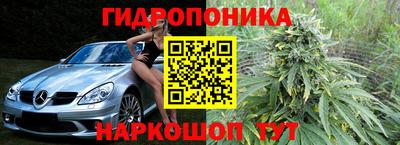 spice Владимир