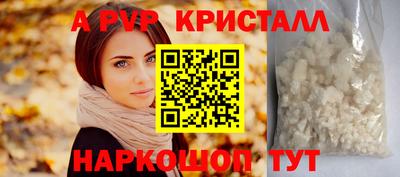 spice Владимир