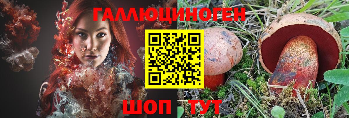 Псилоцибиновые грибы Psilocybe  Галлюциногенные грибы мицелий  Всеволожск  Вход с VPN 